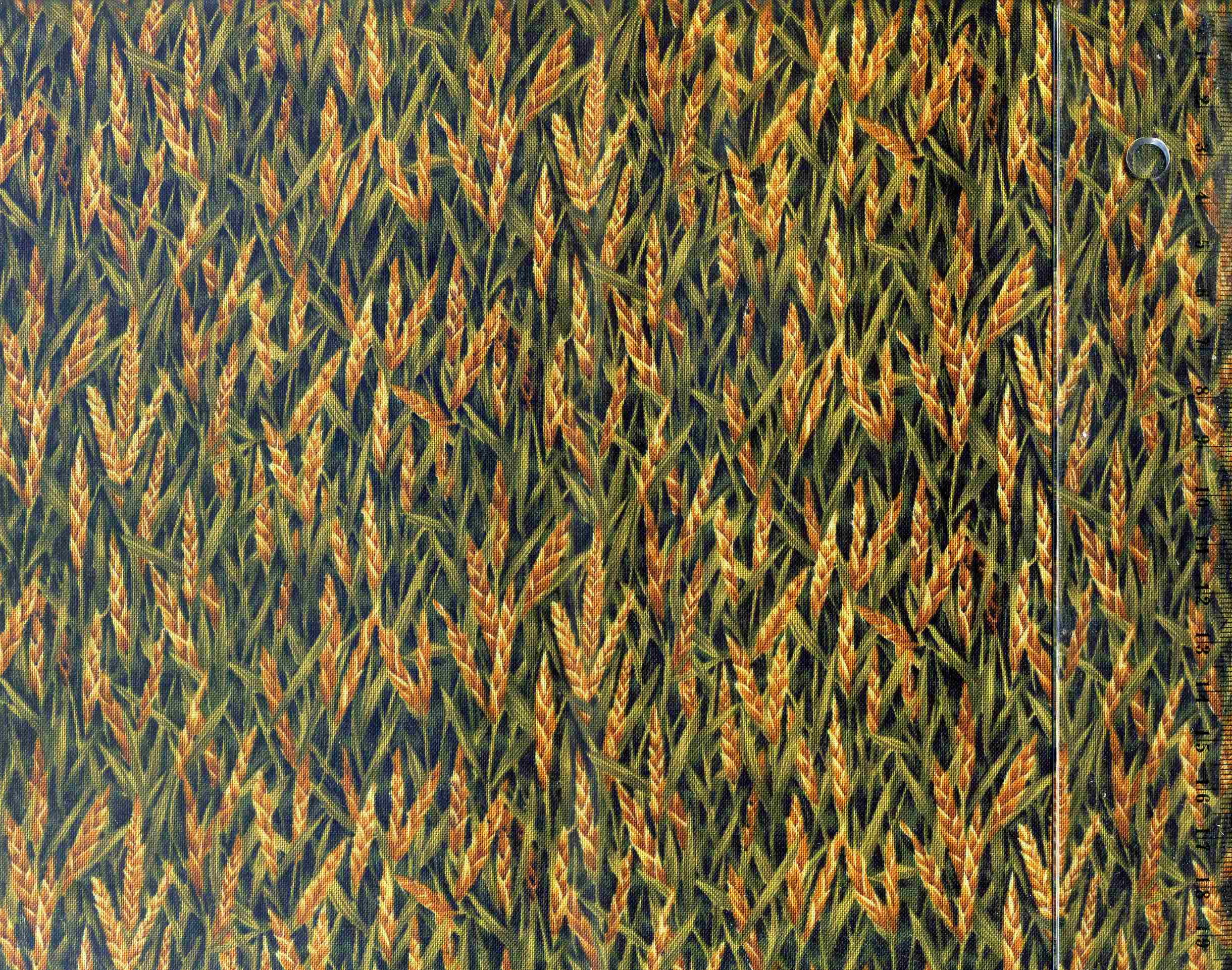 tissu-patchwork-nr-fabri-quilt-harvest-kitties17-00084-co